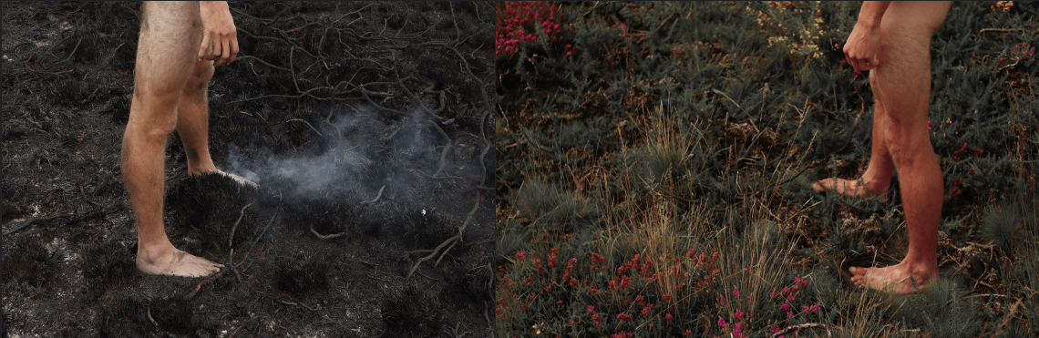 diptyque "être vivant"